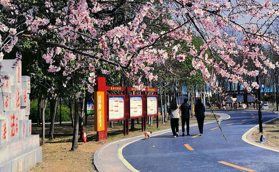 未標(biāo)題-1.jpg